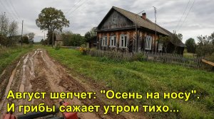 Август шепчет: "Осень на носу" и грибы сажает утром тихо.