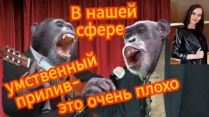 Мошенник сорвал голос в караоке на Рублёвке