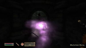TES IV Oblivion #16 Фанакасекул. Форт Добродетель. Святилище Ноктюрнал.