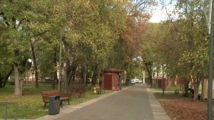 Синоптики рассказали о погоде в Вологодской области