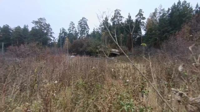 video5434050033727076972 1