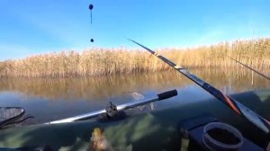 Подобрал НАЖИВКУ, и клюёт ТОЛЬКО КРУПНЯК!! Ловля КАРАСЯ в ОКТЯБРЕ на ПОПЛАВОЧНУЮ УДОЧКУ!!