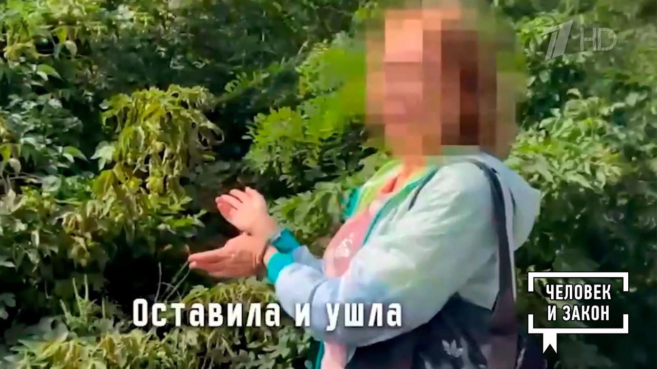 Видео недели: завербованная; попытка теракта; произвол ТЦК. Человек и закон. Фрагмент выпуска от ...
