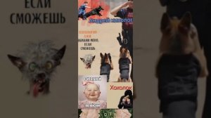 Разнос мошни от детей.