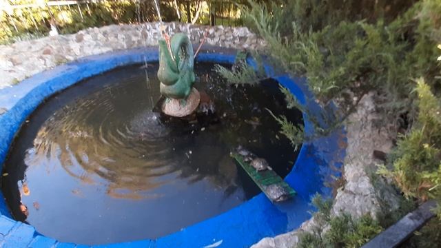 Красноухие черепашки