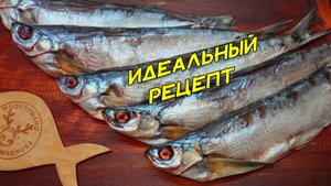 Вяленая чехонь за 37 дней. Почему так долго. Идеальные рецепт вяленой рыбы