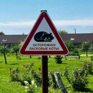 мы в театре