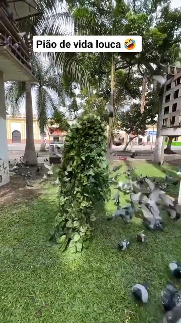 Пранк смотреть онлайн