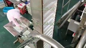 Автоматическая вакуумная упаковочная машина для перепелиных яиц