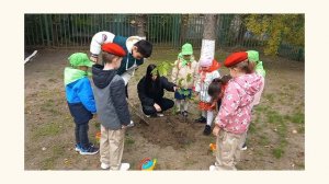 экологическая акция "День дровонасаждения"