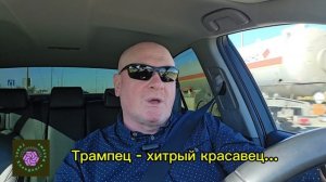 Трампец - хитрый красавец...