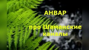 Про Шаманские каналы обратная связь от Анвара.