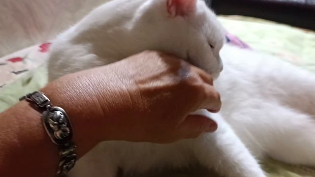 Это мой МАЛЬЧИК