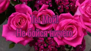 Ты Мой! Не бойся ничего