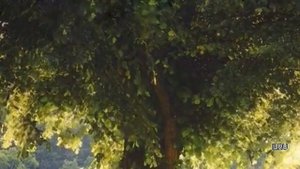 Истории из жизни |Муж ушел к любовнице, вернулся, а потом подал на развод |Аудио рассказы |Аудиокниг