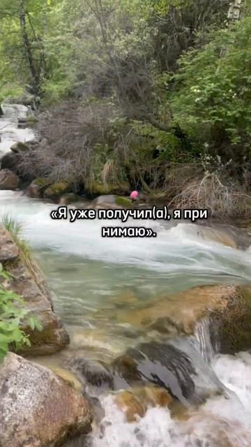 В моем ТГ канале provoodnikDushi практика Благодарности осознанность