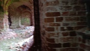 заброшенная деревня в Вологодской области