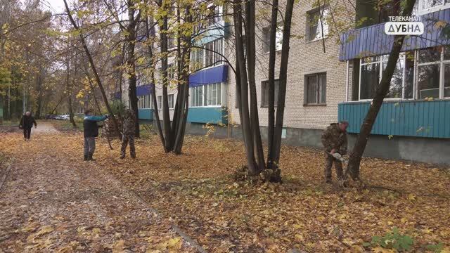 Привели в порядок смотреть онлайн