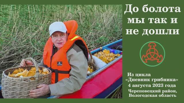 До болота мы так и не дошли! Дневник грибника 4 августа 2023 года. смотреть онлайн