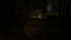 Библиотеки ЗАТО Мирный Архангельской области