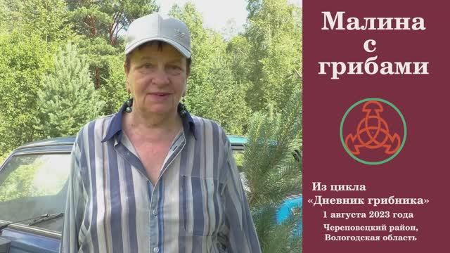 Грибы с малиной. "Дневник грибника" 1 августа 2023 года. смотреть онлайн