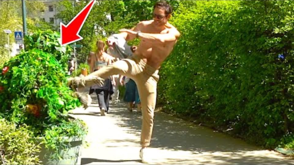 BUSHMAN PRANK_ WHAT WOULD YOU DO_ смотреть онлайн