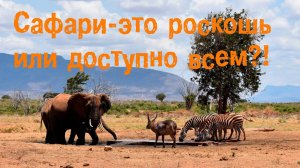 Сафари в Кении. Погружение в мир дикой природы. Парк Восточный Цаво.