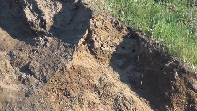 Природа бурмакина гора. Лесосибирск. Видео высокой четкости. смотреть онлайн