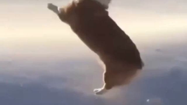 Испугались? 😅😅😅