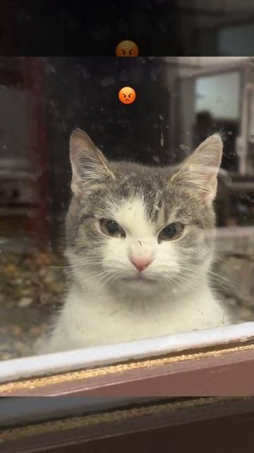 Эти ваши утры 🤬😁