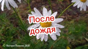 После дождя радуга 🌈