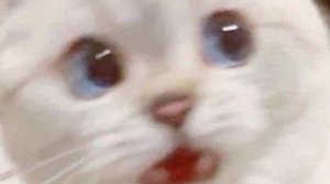 Забавные малыши и кошки😺❤👶👶🍼