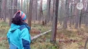 Прямой эфир Балашиха-ТВ