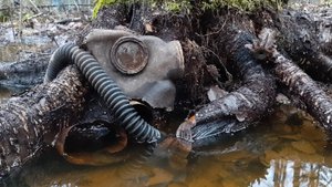 Коп по войне. Фильм 36. Военная археология. Один день с "Волховским фронтом".