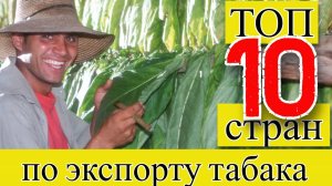 ТАБАК: ТОП 10 стран по экспорту табака (1961–2023)