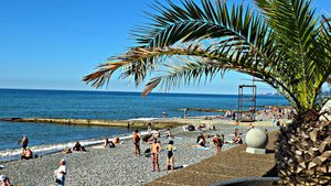✅️🌴17 ОКТЯБРЯ В АДЛЕРЕ:+20° ТЕПЛА, МОРЕ +20°, ПО ДЕМОКРАТИЧЕСКОЙ К МОРЮ,БАРХАТНЫЙ СЕЗОН В РАЗГАРЕ