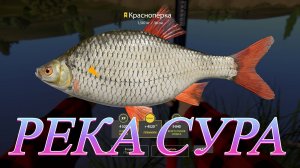 ТРОФЕЙ КРАСНОПЕРКА!!!РЕКА СУРА!!! - РУССКАЯ РЫБАЛКА 4
