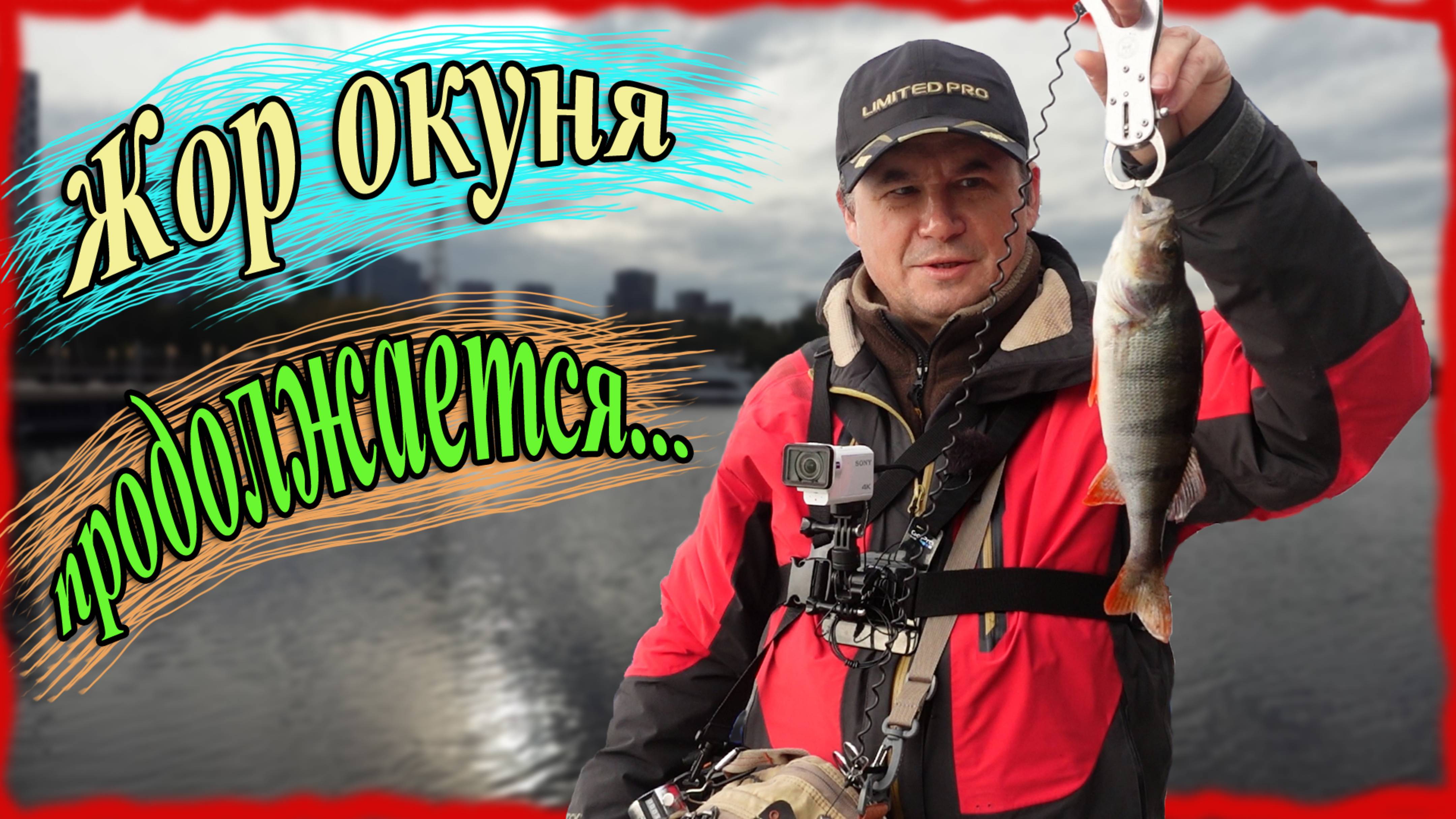 Жор окуня продолжается. Пелагический окунь 2