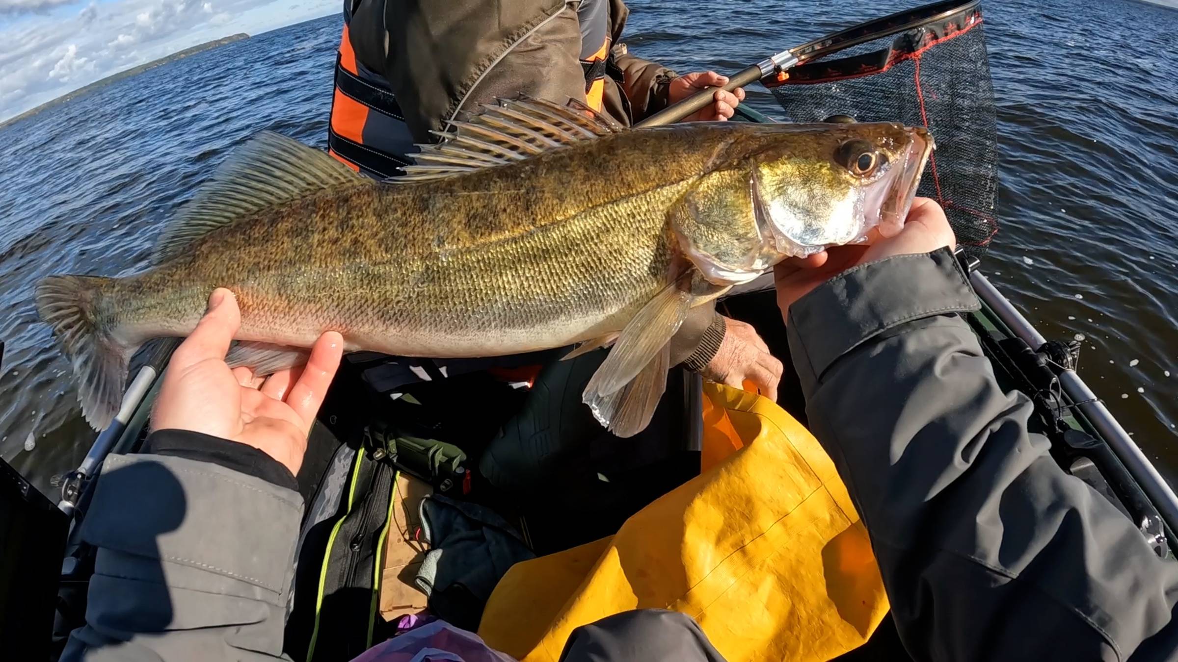 Осенняя рыбалка 2025. Ловля Судака и Берша на Тюльку в отвес. Готовимся к Зимнему сезону 2026.