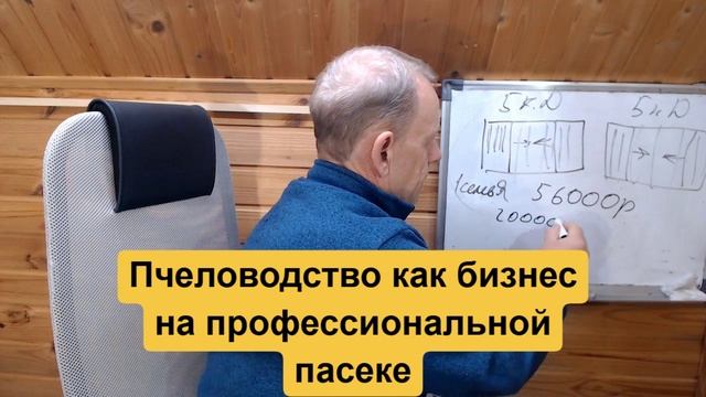 Ячейка бизнес-модели профессиональной пасеки для дохода с ульев-лежаков с увеличенной рамкой 460 мм смотреть онлайн