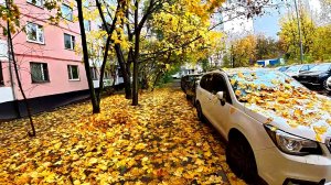 Машины усыпаны осенней листвой. Ветрено.