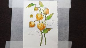 Рисунок акварелью