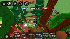 Вырастил огромный бамбук