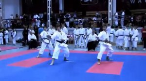 Чемпионат мира по Каратэ в Польше