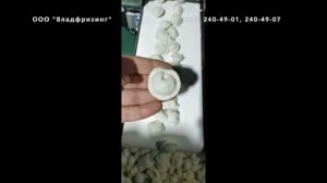 Универсальная формовочная машина VFJZ-200 (пр-во Китай), (ООО "Владфризинг")