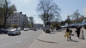 Апрельские тюльпаны в Ростове-на-Дону 2025 год.