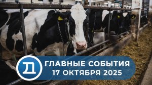17.10.2025 Домодедово. Главные события.