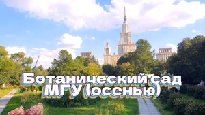 Ботанический сад МГУ на Ленинских горах. Осень.