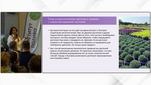 Наталья Чемеричко - Многолетние растения. Часть 2