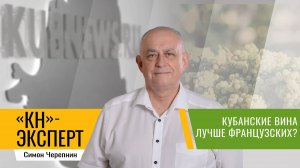Как Краснодарский край стал лидером России по виноградарству и виноделию